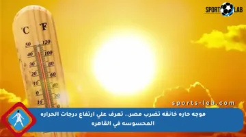موجة حارة خانقة تضرب مصر.. تعرف على ارتفاع درجات الحرارة المحسوسة في القاهرة